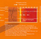 Eindringtiefe in die Haut